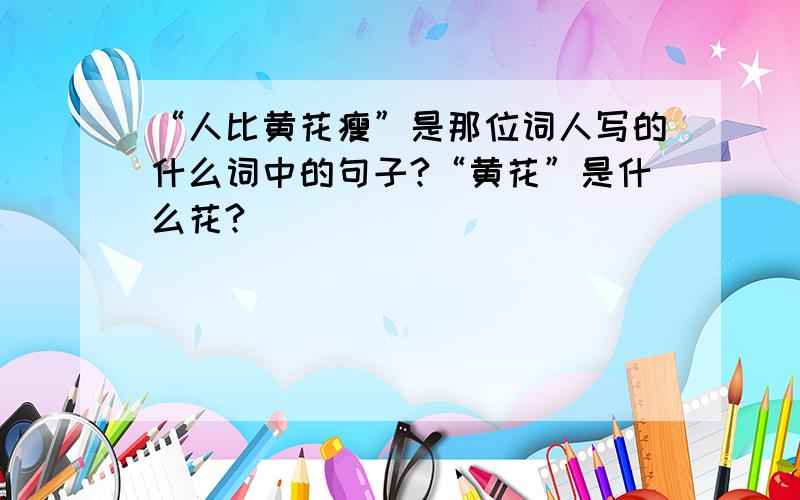 “人比黄花瘦”是那位词人写的什么词中的句子?“黄花”是什么花?