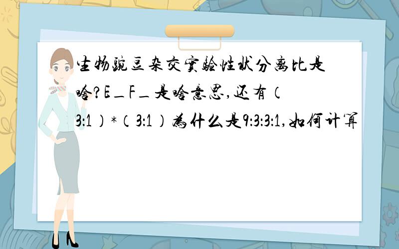 生物豌豆杂交实验性状分离比是啥?E_F_是啥意思,还有（3：1）*（3：1）为什么是9：3：3：1,如何计算