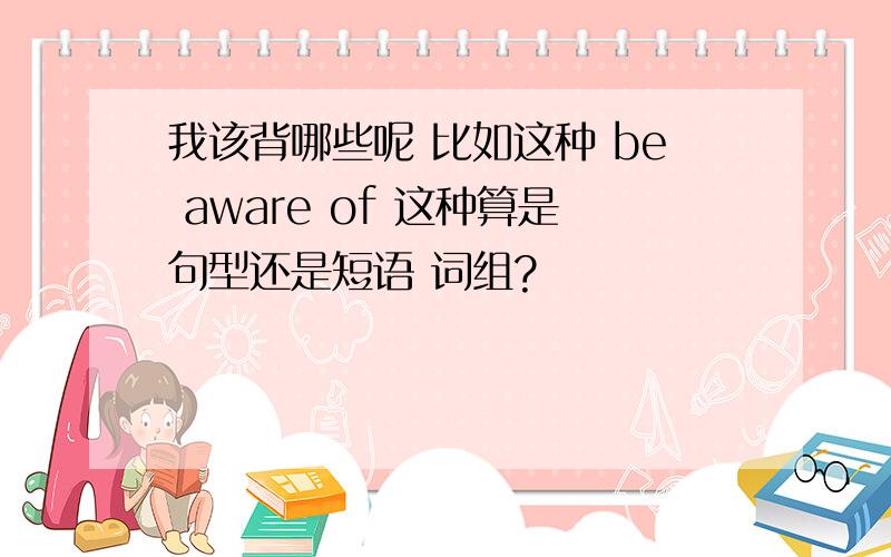 我该背哪些呢 比如这种 be aware of 这种算是句型还是短语 词组?