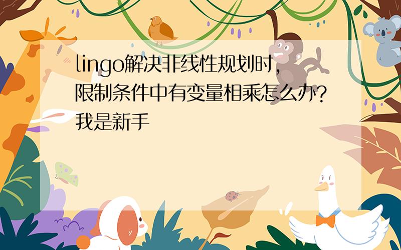 lingo解决非线性规划时,限制条件中有变量相乘怎么办?我是新手