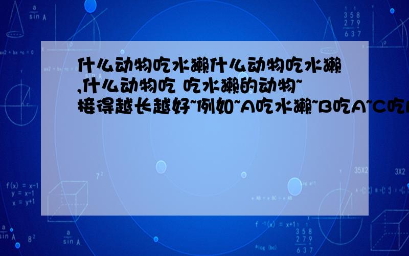 什么动物吃水獭什么动物吃水獭,什么动物吃 吃水獭的动物~接得越长越好~例如~A吃水獭~B吃A~C吃B~