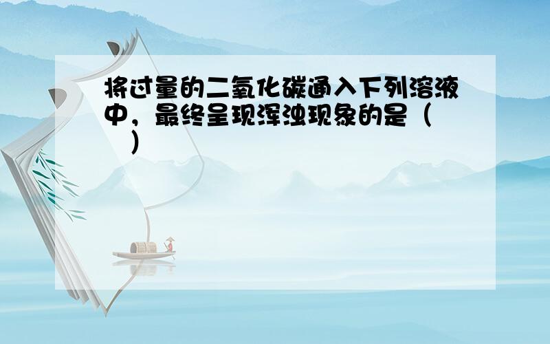 将过量的二氧化碳通入下列溶液中，最终呈现浑浊现象的是（　　）