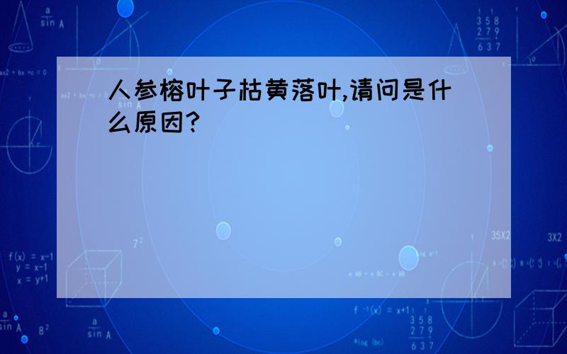 人参榕叶子枯黄落叶,请问是什么原因?