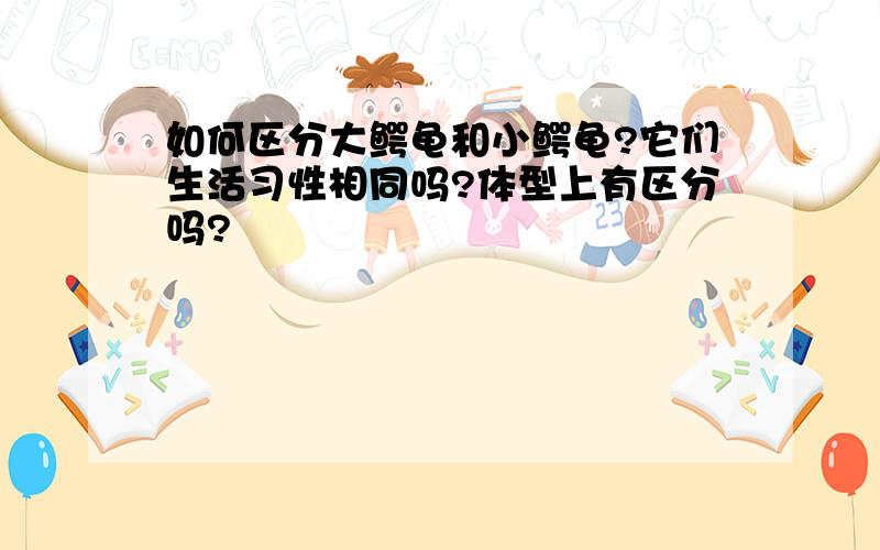 如何区分大鳄龟和小鳄龟?它们生活习性相同吗?体型上有区分吗?