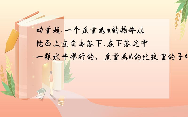 动量题,一个质量为m的物体从地面上空自由落下,在下落途中一颗水平飞行的、质量为M的比较重的子弹射入物体内.试问物体落地时