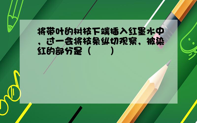 将带叶的树枝下端插入红墨水中，过一会将枝条纵切观察，被染红的部分是（　　）