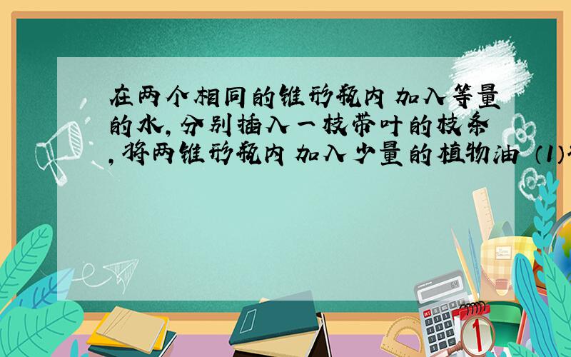 在两个相同的锥形瓶内加入等量的水,分别插入一枝带叶的枝条,将两锥形瓶内加入少量的植物油 （1）将此