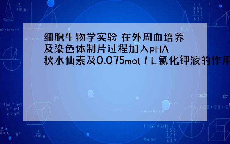 细胞生物学实验 在外周血培养及染色体制片过程加入pHA 秋水仙素及0.075mol／L氯化钾液的作用