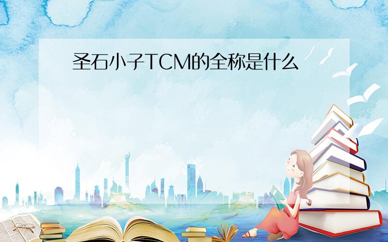 圣石小子TCM的全称是什么