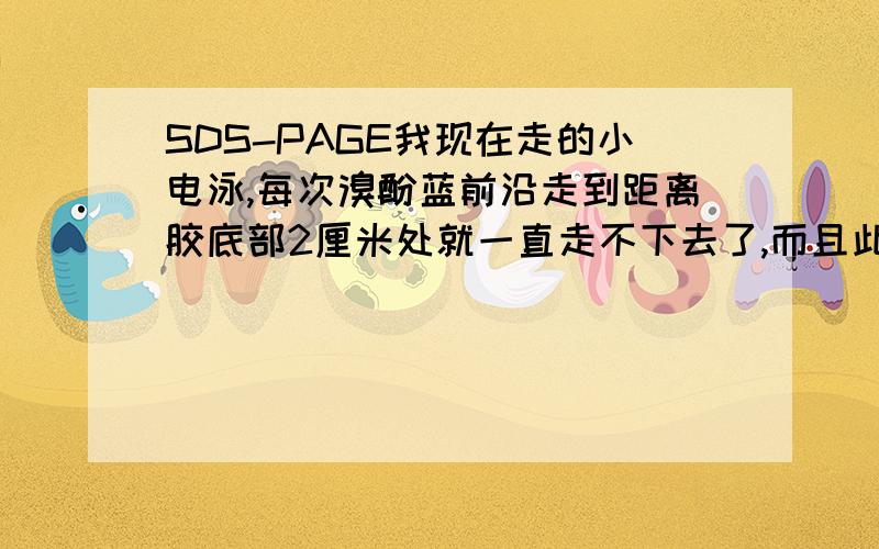 SDS-PAGE我现在走的小电泳,每次溴酚蓝前沿走到距离胶底部2厘米处就一直走不下去了,而且此时在电泳槽内槽底部的外壁总