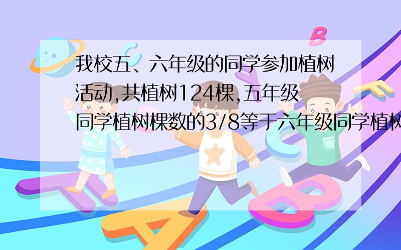 我校五、六年级的同学参加植树活动,共植树124棵,五年级同学植树棵数的3/8等于六年级同学植树棵数的2/5,两个年级各植