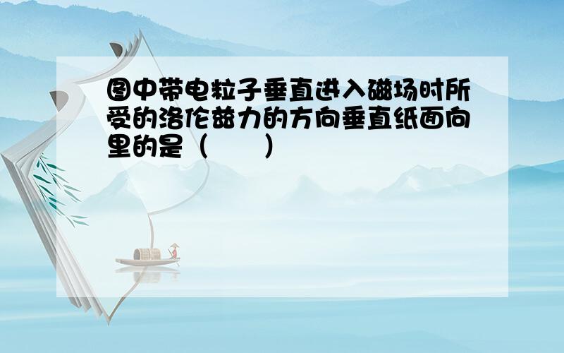 图中带电粒子垂直进入磁场时所受的洛伦兹力的方向垂直纸面向里的是（　　）