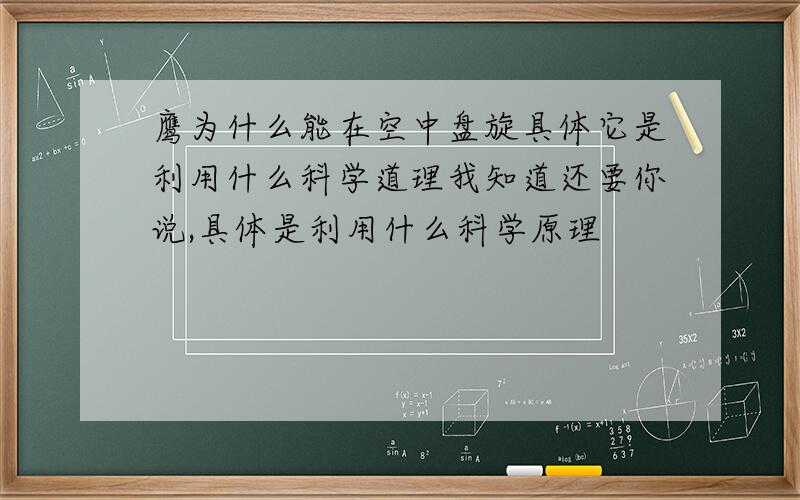 鹰为什么能在空中盘旋具体它是利用什么科学道理我知道还要你说,具体是利用什么科学原理