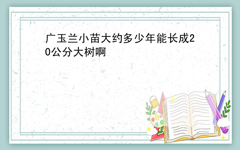 广玉兰小苗大约多少年能长成20公分大树啊