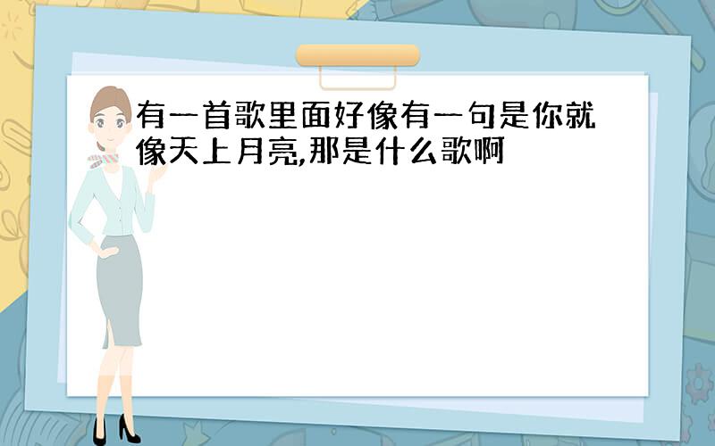 有一首歌里面好像有一句是你就像天上月亮,那是什么歌啊