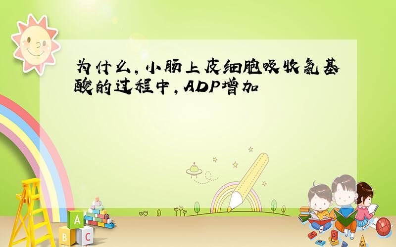 为什么,小肠上皮细胞吸收氨基酸的过程中,ADP增加