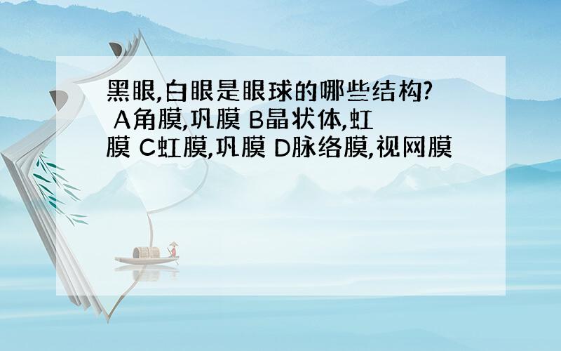 黑眼,白眼是眼球的哪些结构? A角膜,巩膜 B晶状体,虹膜 C虹膜,巩膜 D脉络膜,视网膜