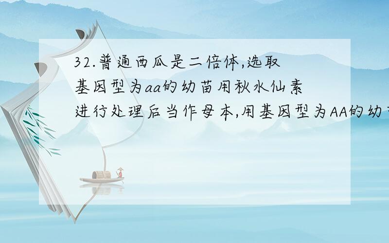 32.普通西瓜是二倍体,选取基因型为aa的幼苗用秋水仙素进行处理后当作母本,用基因型为AA的幼苗当作父本进行