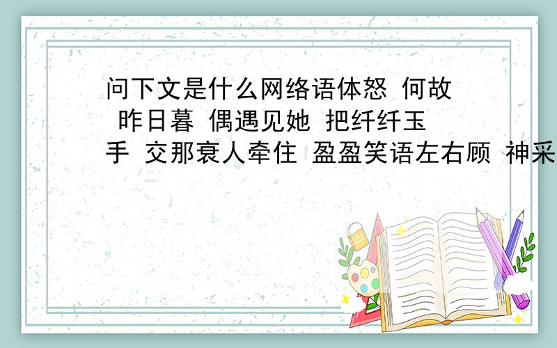 问下文是什么网络语体怒 何故 昨日暮 偶遇见她 把纤纤玉手 交那衰人牵住 盈盈笑语左右顾 神采飞扬凌波微步 美眸中一片深