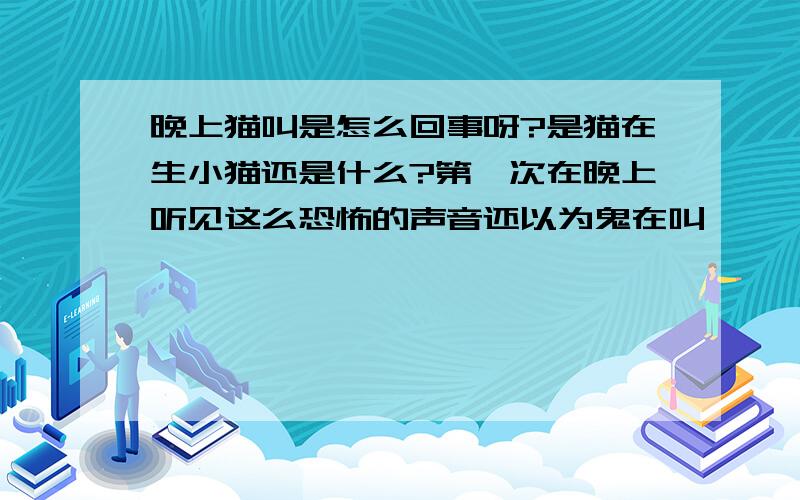 晚上猫叫是怎么回事呀?是猫在生小猫还是什么?第一次在晚上听见这么恐怖的声音还以为鬼在叫