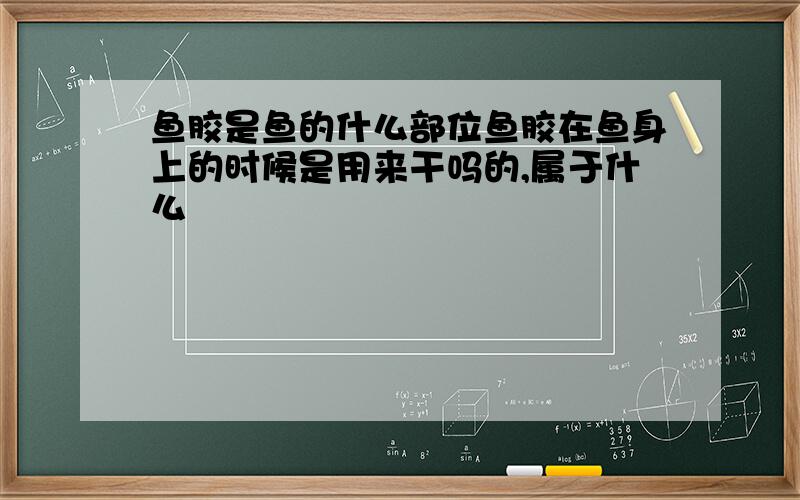 鱼胶是鱼的什么部位鱼胶在鱼身上的时候是用来干吗的,属于什么