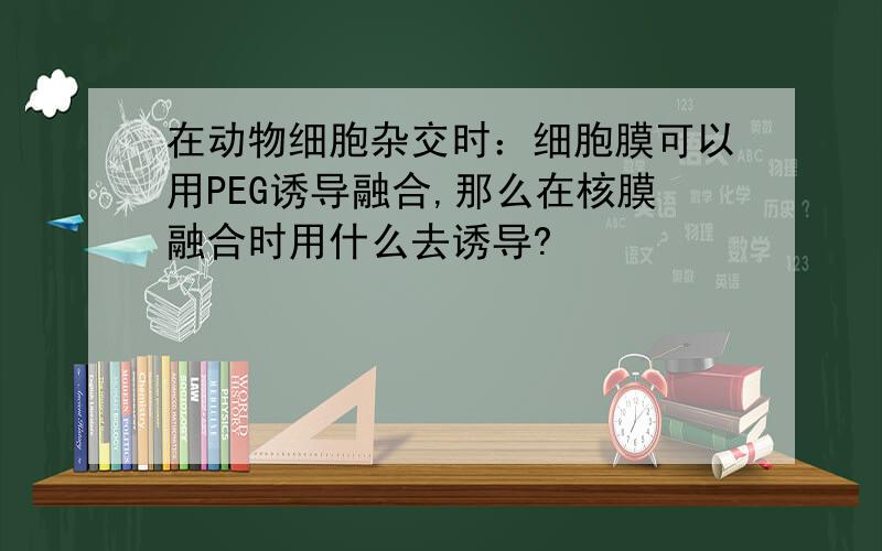 在动物细胞杂交时：细胞膜可以用PEG诱导融合,那么在核膜融合时用什么去诱导?