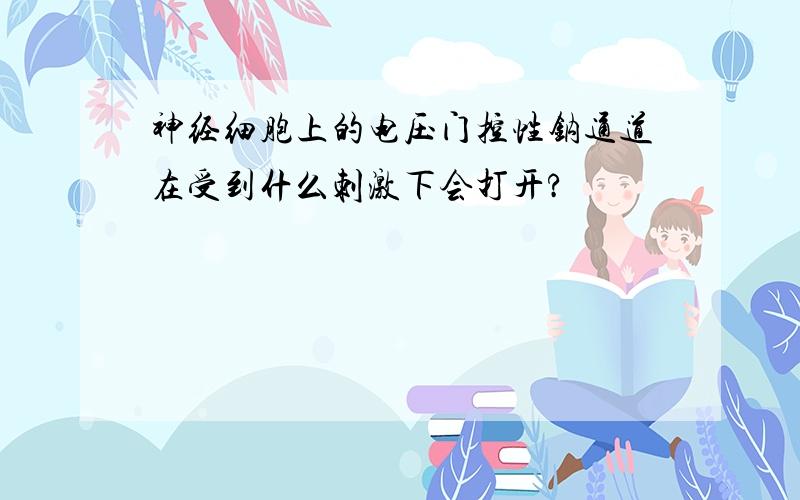 神经细胞上的电压门控性钠通道在受到什么刺激下会打开?