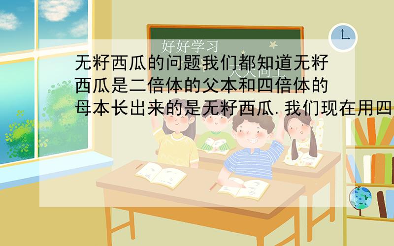 无籽西瓜的问题我们都知道无籽西瓜是二倍体的父本和四倍体的母本长出来的是无籽西瓜.我们现在用四倍体的母本和四倍体的父本生长