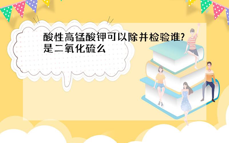 酸性高锰酸钾可以除并检验谁?是二氧化硫么