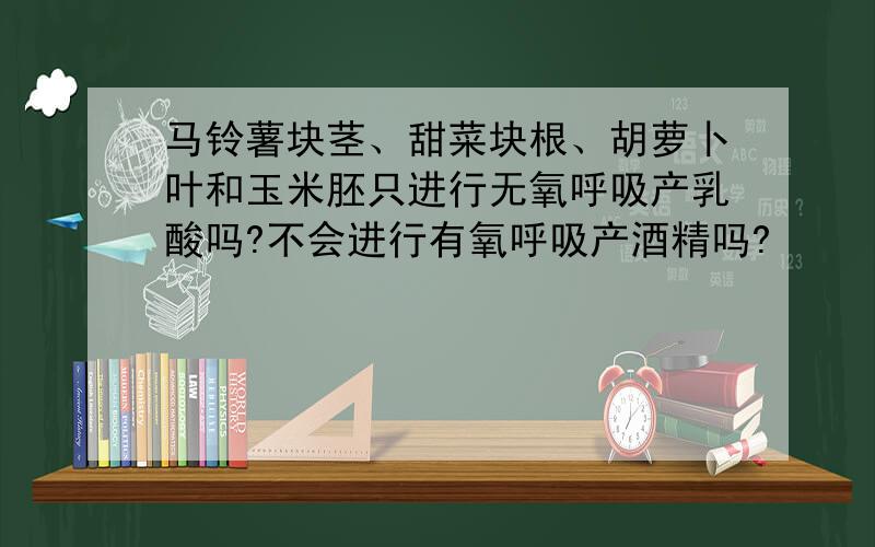 马铃薯块茎、甜菜块根、胡萝卜叶和玉米胚只进行无氧呼吸产乳酸吗?不会进行有氧呼吸产酒精吗?