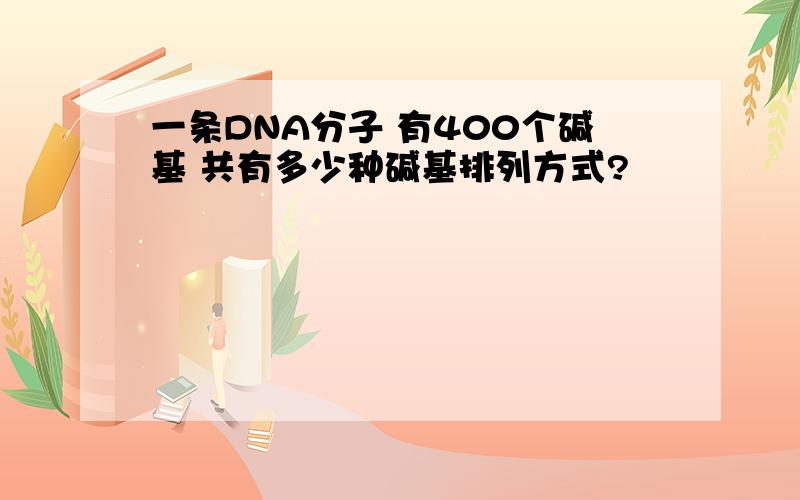 一条DNA分子 有400个碱基 共有多少种碱基排列方式?