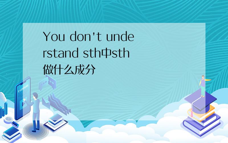 You don't understand sth中sth做什么成分