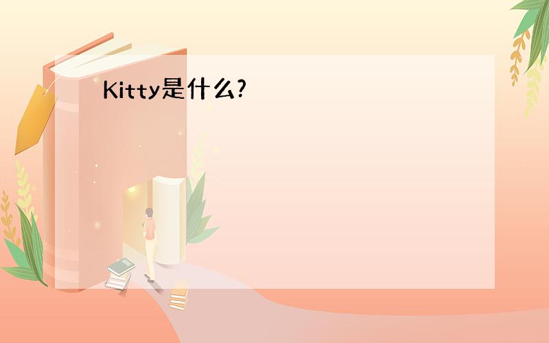 Kitty是什么?