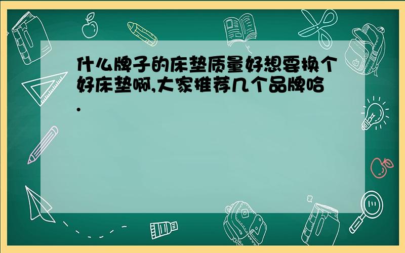 什么牌子的床垫质量好想要换个好床垫啊,大家推荐几个品牌哈.