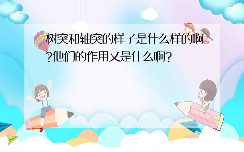 树突和轴突的样子是什么样的啊?他们的作用又是什么啊?