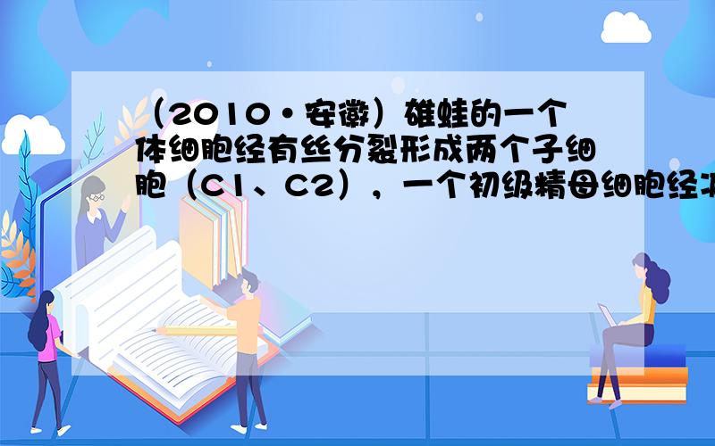 （2010•安徽）雄蛙的一个体细胞经有丝分裂形成两个子细胞（C1、C2），一个初级精母细胞经减数第一次分裂形成两个次级精