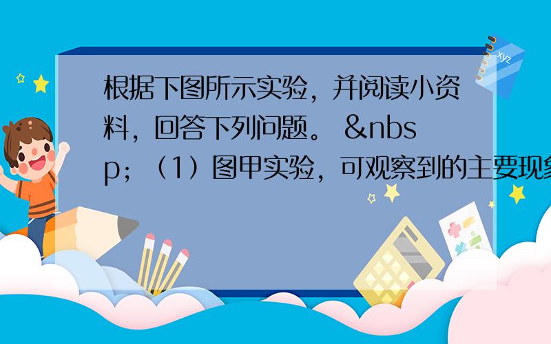 根据下图所示实验，并阅读小资料，回答下列问题。   （1）图甲实验，可观察到的主要现象是  &nbs