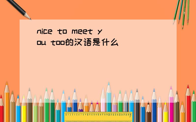 nice to meet you too的汉语是什么