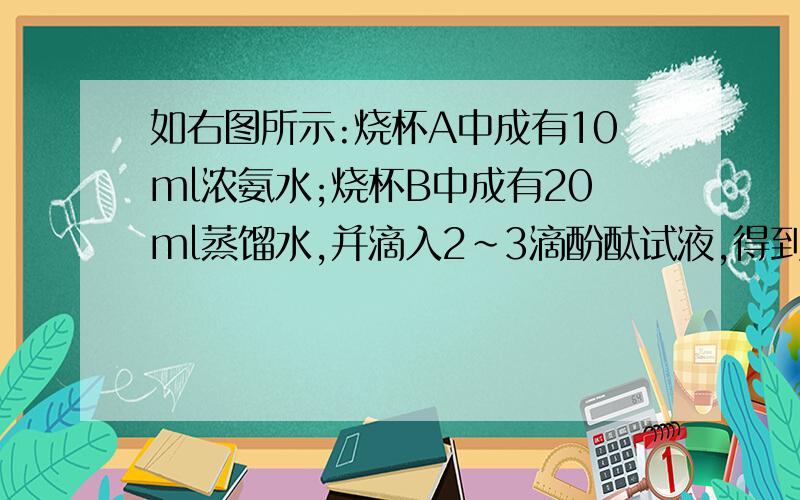 如右图所示:烧杯A中成有10ml浓氨水;烧杯B中成有20ml蒸馏水,并滴入2~3滴酚酞试液,得到无色溶液.在B烧杯中装入