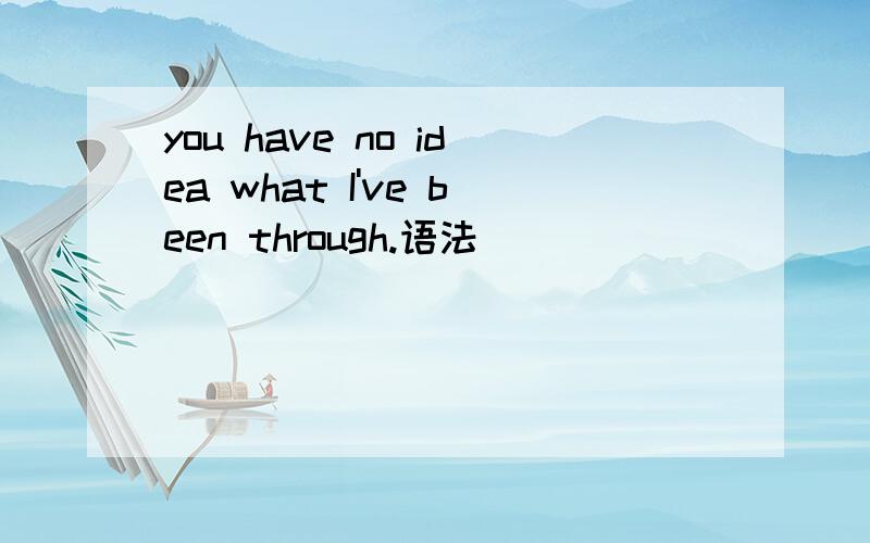 you have no idea what I've been through.语法