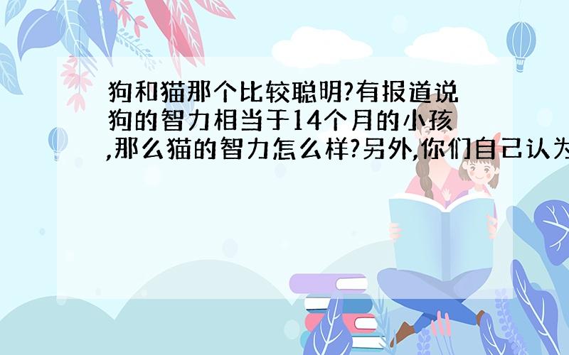 狗和猫那个比较聪明?有报道说狗的智力相当于14个月的小孩,那么猫的智力怎么样?另外,你们自己认为猫和狗那个比较聪明?