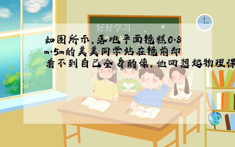 如图所示,落地平面镜糕0.8m.5m的美美同学站在镜前却看不到自己全身的像,他回想起物理课上所学知识就（“适当后退一段距