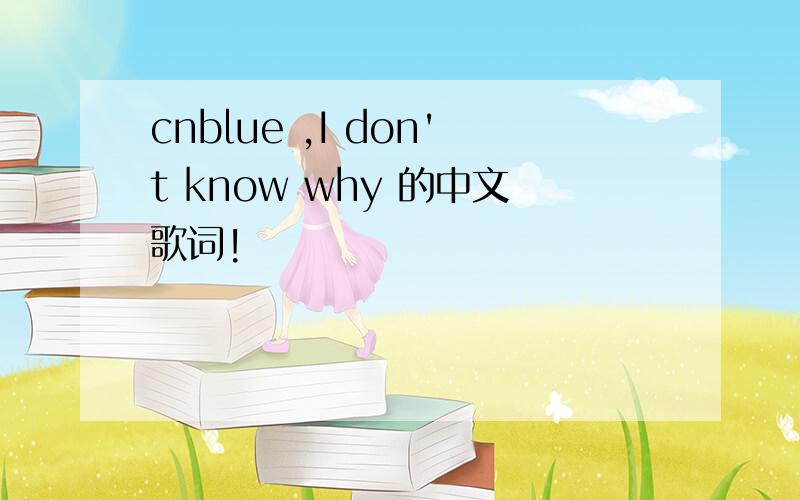 cnblue ,I don't know why 的中文歌词!