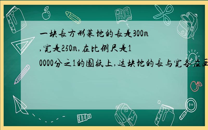 一块长方形菜地的长是300m,宽是250m,在比例尺是10000分之1的图纸上,这块地的长与宽各应画多少厘米?