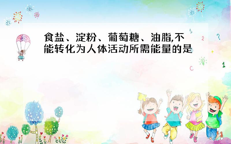 食盐、淀粉、葡萄糖、油脂,不能转化为人体活动所需能量的是