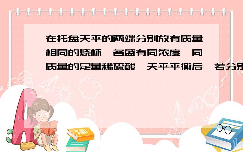 在托盘天平的两端分别放有质量相同的烧杯,各盛有同浓度,同质量的足量稀硫酸,天平平衡后,若分别向两烧杯中放入Na和Mg,反