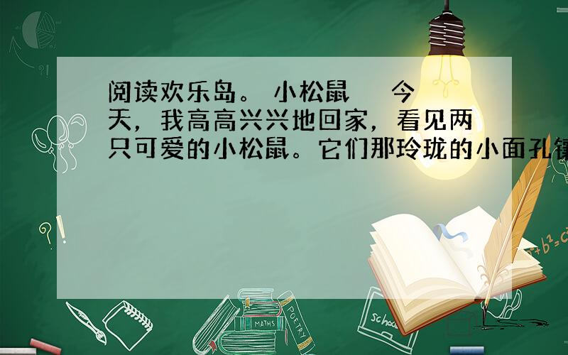 阅读欢乐岛。 小松鼠 　　今天，我高高兴兴地回家，看见两只可爱的小松鼠。它们那玲珑的小面孔镶着一双圆溜溜的小眼睛，脑袋上