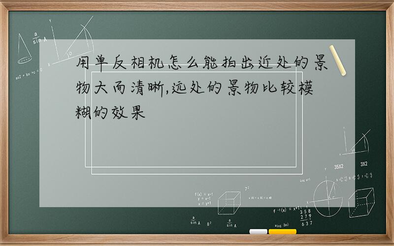 用单反相机怎么能拍出近处的景物大而清晰,远处的景物比较模糊的效果