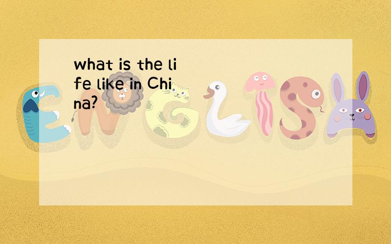 what is the life like in China?