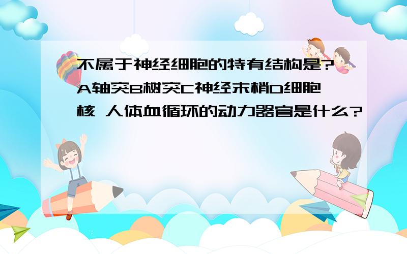 不属于神经细胞的特有结构是?A轴突B树突C神经末梢D细胞核 人体血循环的动力器官是什么?